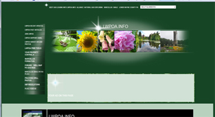 $200 AFFORDABLE BUDGET CUSTOM WEBSITES FREE QUOTE 570.937.9054 Diane La Ware SERVICES Hamlin Honesdale Pocono&rsquo;s Scranton Carbondale North East Wayne County PA USA